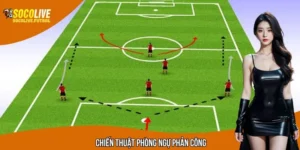 Chiến thuật phòng ngự phản công