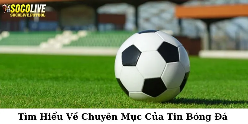 Khám phá về các chuyên mục có trong tin thể thao